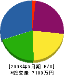 橋塚製材所 貸借対照表 2008年5月期