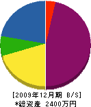 柴田商事 貸借対照表 2009年12月期