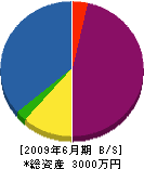 小松鑿泉 貸借対照表 2009年6月期