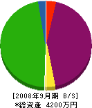 川上忠産業 貸借対照表 2008年9月期