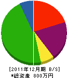 渡辺組 貸借対照表 2011年12月期