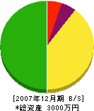 中川斫業 貸借対照表 2007年12月期