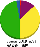 井上卓央 貸借対照表 2008年12月期