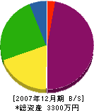 田辺建設 貸借対照表 2007年12月期