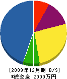 宮崎電工 貸借対照表 2009年12月期