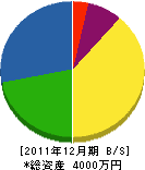 多田庭石店 貸借対照表 2011年12月期