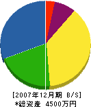 秋北電設（業） 貸借対照表 2007年12月期