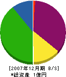 辻管工 貸借対照表 2007年12月期