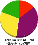 和田塗装 貸借対照表 2010年12月期