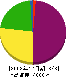 戸田組 貸借対照表 2008年12月期