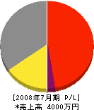 熊本電工 損益計算書 2008年7月期