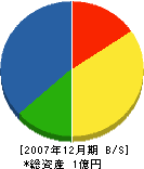 坂本組 貸借対照表 2007年12月期