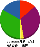 岩田佳産業 貸借対照表 2010年8月期