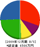 猪島工業 貸借対照表 2009年12月期 猪島工業 貸借対照表 2009年12月期
