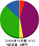 志水 貸借対照表 2009年10月期