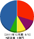 片山建設 貸借対照表 2011年12月期