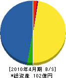 岩田組 貸借対照表 2010年4月期