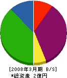 サニーフェンス神奈川 貸借対照表 2008年3月期
