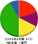 飯沼工務店 貸借対照表 2009年4月期