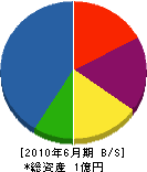 赤塚設備 貸借対照表 2010年6月期