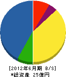 阪神園芸 貸借対照表 2012年6月期