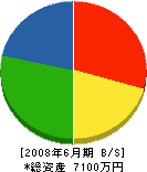 樫田建設 貸借対照表 2008年6月期