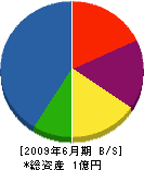 赤塚設備 貸借対照表 2009年6月期