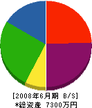 大塚工業 貸借対照表 2008年6月期