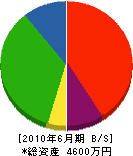橋本設備工業 貸借対照表 2010年6月期