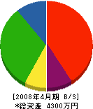 秋山設備 貸借対照表 2008年4月期
