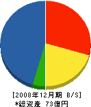 水澤工務店 貸借対照表 2008年12月期
