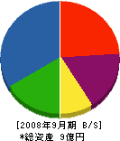 新日東 貸借対照表 2008年9月期