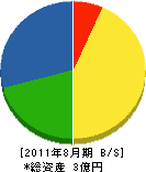 丸正庭石店 貸借対照表 2011年8月期
