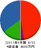 中島産業 貸借対照表 2011年6月期