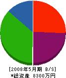 高幡工業 貸借対照表 2008年5月期