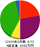 コジマ・エンジニアリング 貸借対照表 2009年4月期