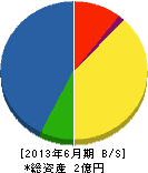 矢田建設 貸借対照表 2013年6月期
