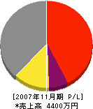 坂東工業 損益計算書 2007年11月期