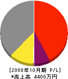 イマイグループ 損益計算書 2008年10月期