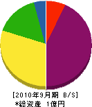 野田塗店 貸借対照表 2010年9月期