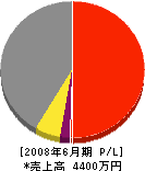 矢沢建設工業 損益計算書 2008年6月期