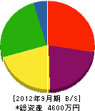 柴沢塗装 貸借対照表 2012年9月期