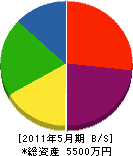 幸田電気工業 貸借対照表 2011年5月期