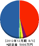 松恵電機 貸借対照表 2012年12月期