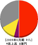 朝日電気工業 損益計算書 2009年6月期