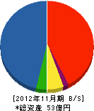 ヤマダ技研 貸借対照表 2012年11月期
