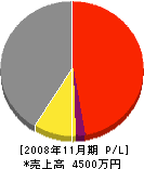 柄澤工業 損益計算書 2008年11月期