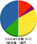 高田 貸借対照表 2008年5月期