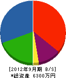 渡辺鉄工 貸借対照表 2012年9月期