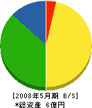 田原工業 貸借対照表 2008年5月期